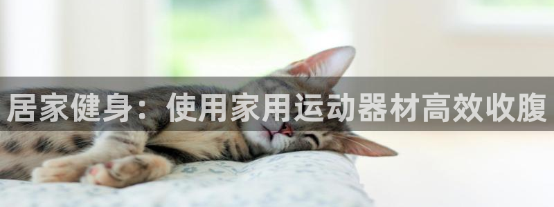 意昂体育3娱乐：居家健身：使用家用运动器材高效收腹
