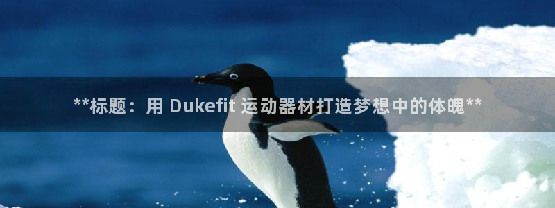 意昂3官方：**标题：用 Dukefit 运动器材打