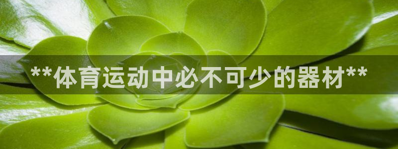 意昂体育3开户：**体育运动中必不可少的器材**