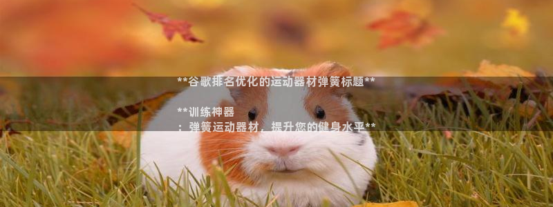 意昂体育3联系电话：**谷歌排名优化的运动器材弹簧标