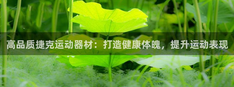意昂3娱乐首页网站大全：高品质捷克运动器材：打造健康