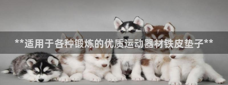 海南意昂体育3发展怎么样：**适用于各种锻炼的优质运