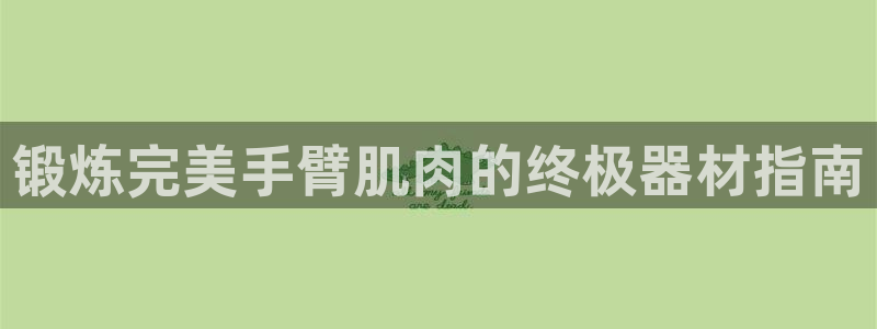 意昂3代理：锻炼完美手臂肌肉的终极器材指南