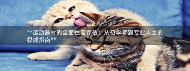 意昂体育3招商电话地址查询：**运动器材的全面性能评