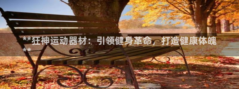 意昂3五金厂：**狂神运动器材：引领健身革命，打造健