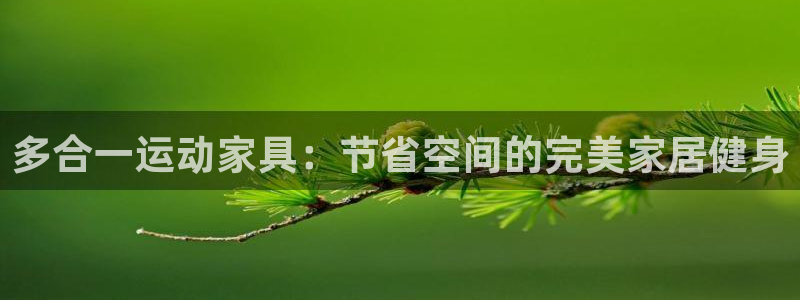 意昂体育3平台注册要钱吗是真的吗：多合一运动家具：节