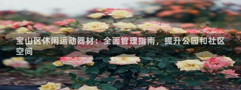 意昂体育3招商电话号码：宝山区休闲运动器材：全面管理