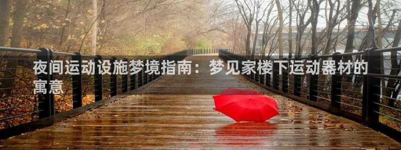 意昂3官方：夜间运动设施梦境指南：梦见家楼下运动器材