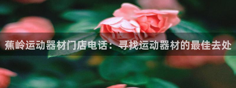 意昂3官网：蕉岭运动器材门店电话：寻找运动器材的最佳