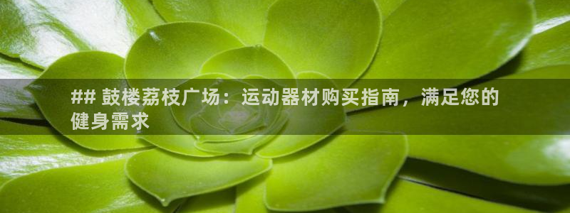 意昂体育3官方客服电话：## 鼓楼荔枝广场：运动器材