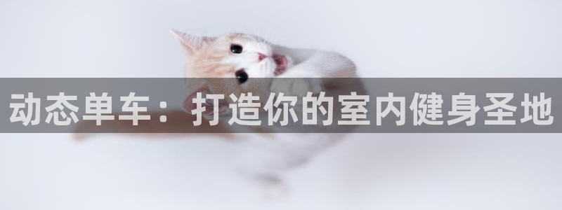 意昂3神州：动态单车：打造你的室内健身圣地