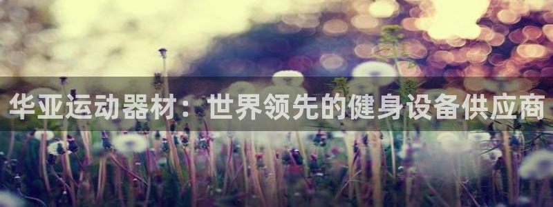意昂体育3平台假的吗是真的吗吗：华亚运动器材：世界领