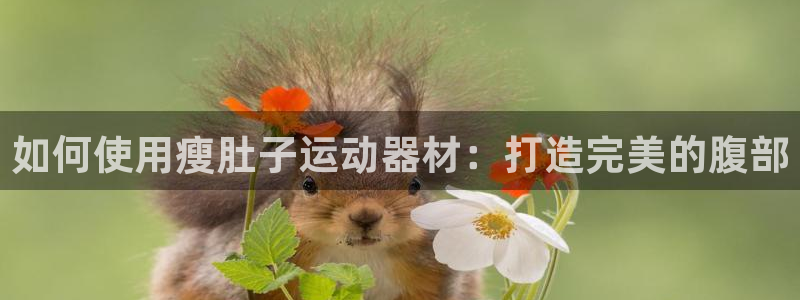 注册意昂3：如何使用瘦肚子运动器材：打造完美的腹部