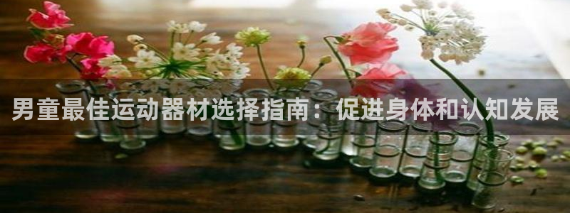 意昂3娱乐是那个系列的台子：男童最佳运动器材选择指南