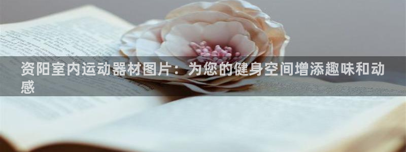 意昂3娱乐：资阳室内运动器材图片：为您的健身空间增添