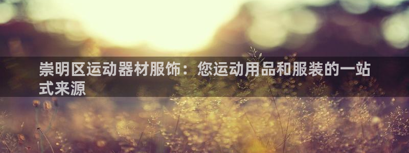 意昂3集团：崇明区运动器材服饰：您运动用品和服装的一