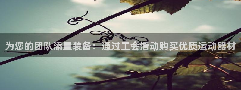 意昂3代理：为您的团队添置装备：通过工会活动购买优质