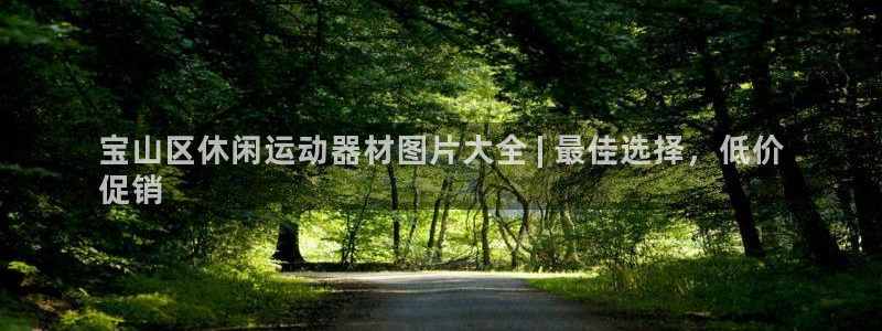 意昂3集团官网首页：宝山区休闲运动器材图片大全 | 