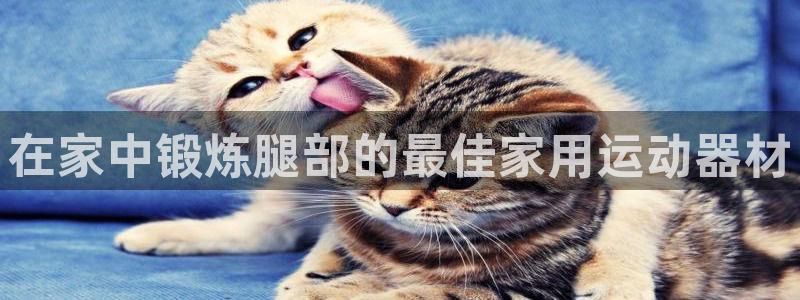 意昂体育3平台假的吗是真的吗吗：在家中锻炼腿部的最佳