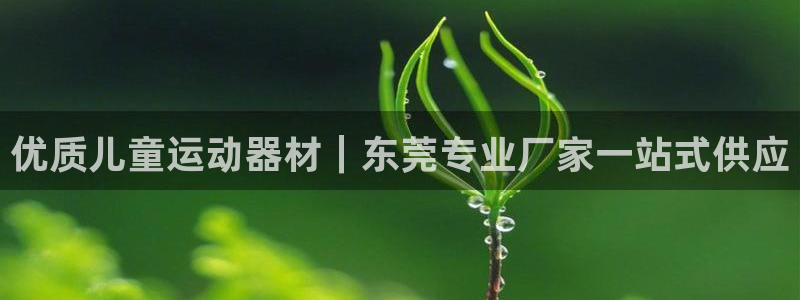 意昂3娱乐平台：优质儿童运动器材｜东莞专业厂家一站式