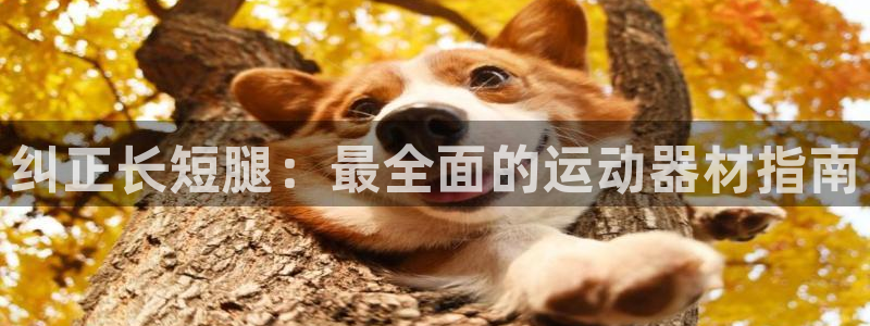意昂体育3官方客服电话：纠正长短腿：最全面的运动器材