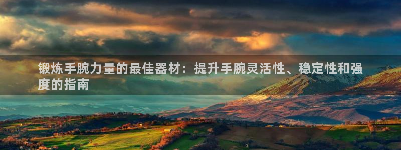 德国意昂3集团：锻炼手腕力量的最佳器材：提升手腕灵活