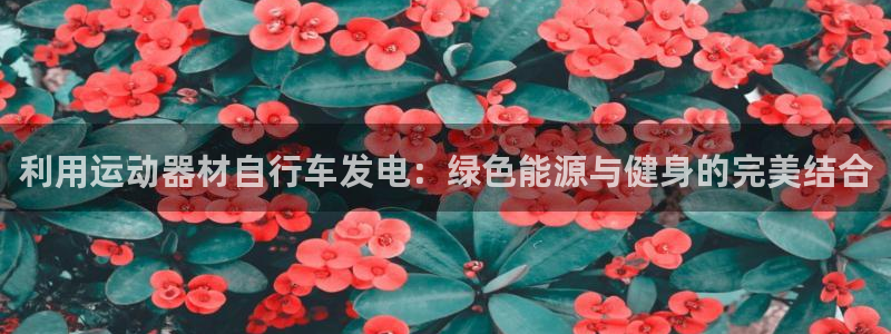 意昂体育3招商电话号码是多少啊：利用运动器材自行车发