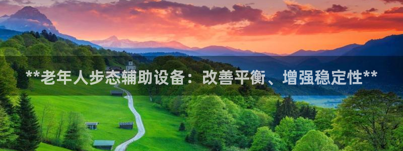 意昂3娱乐首页网站大全：**老年人步态辅助设备：改善