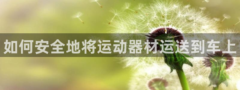 意昂3神州：如何安全地将运动器材运送到车上
