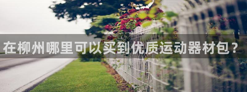 意昂3新能源：在柳州哪里可以买到优质运动器材包？