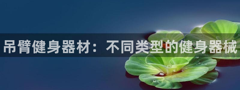 注册意昂3：吊臂健身器材：不同类型的健身器械