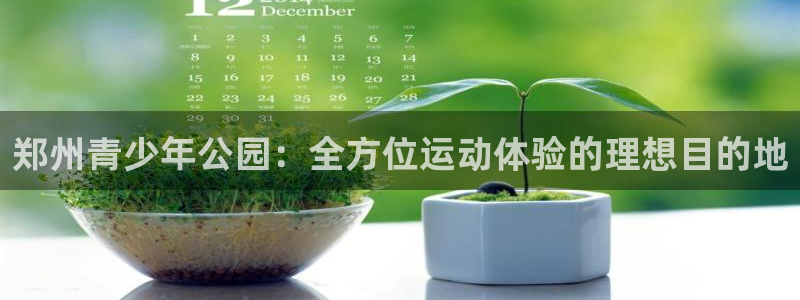 意昂体育3平台APP：郑州青少年公园：全方位运动体验