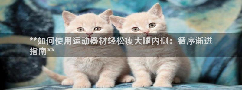 意昂体育3平台假的吗是真的吗：**如何使用运动器材轻