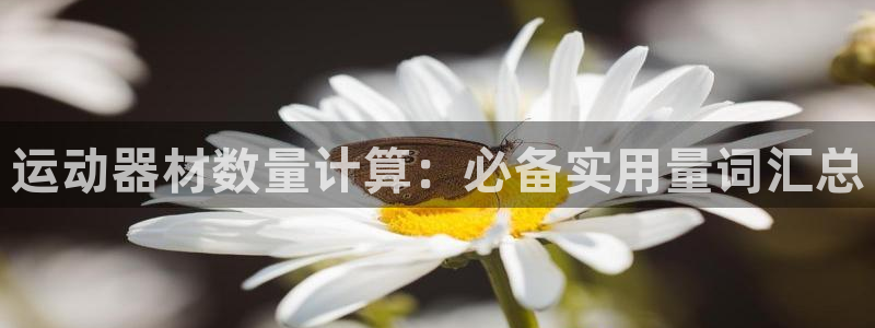 意昂体育3招商电话是多少啊：运动器材数量计算：必备实