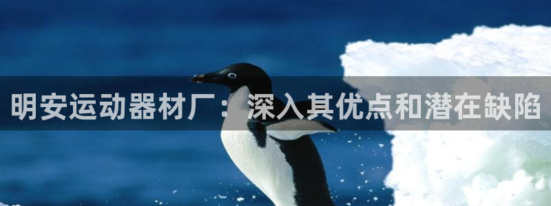 海南意昂体育3发展怎么样：明安运动器材厂：深入其优点