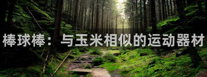 意昂体育3联系电话：棒球棒：与玉米相似的运动器材