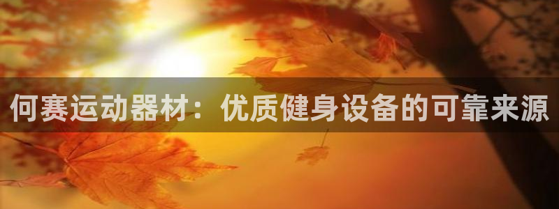 意昂3娱乐代理怎么样：何赛运动器材：优质健身设备的可