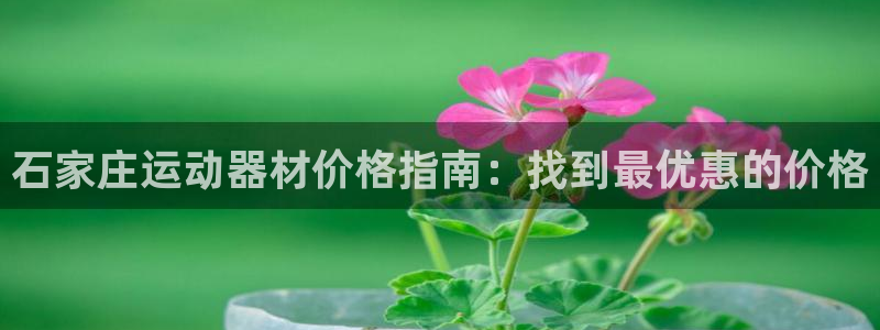 意昂体育3平台：石家庄运动器材价格指南：找到最优惠的