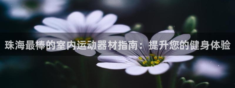 意昂3集团官网首页：珠海最棒的室内运动器材指南：提升