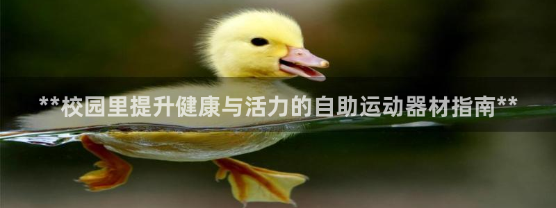 意昂3官方：**校园里提升健康与活力的自助运动器材指