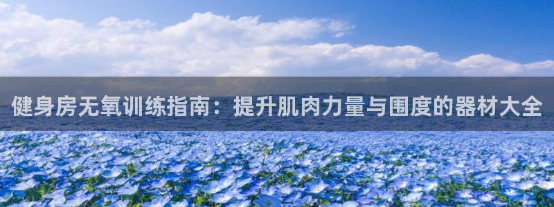 意昂体育3平台注册要钱吗安全吗：健身房无氧训练指南：