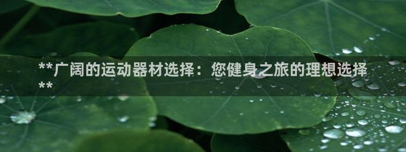 意昂体育3注册：**广阔的运动器材选择：您健身之旅的