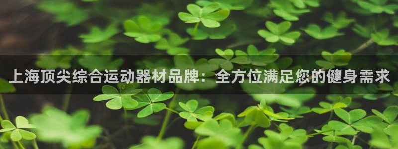 意昂体育3平台注册要钱吗安全吗：上海顶尖综合运动器材