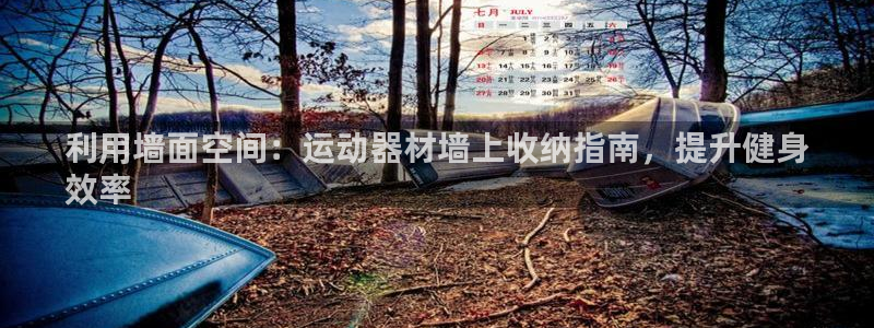 意昂集团官网：利用墙面空间：运动器材墙上收纳指南，提
