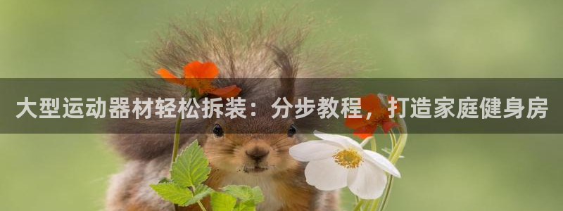 意昂体育3招商电话号码是多少：大型运动器材轻松拆装：