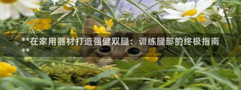 意昂3神州