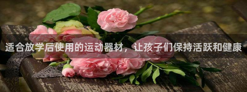 意昂3集团官网网址：适合放学后使用的运动器材，让孩子