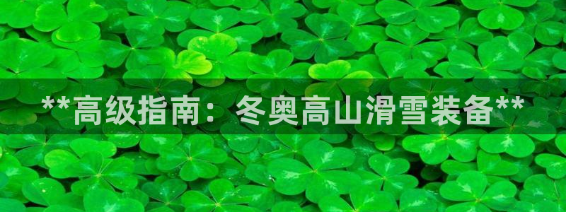 意昂3集团官网网址：**高级指南：冬奥高山滑雪装备*
