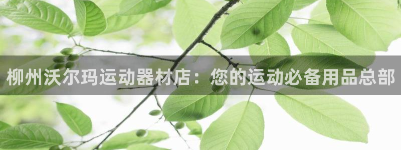 意昂体育3平台注册：柳州沃尔玛运动器材店：您的运动必