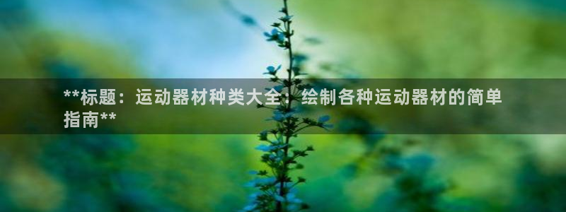 意昂3新能源：**标题：运动器材种类大全：绘制各种运